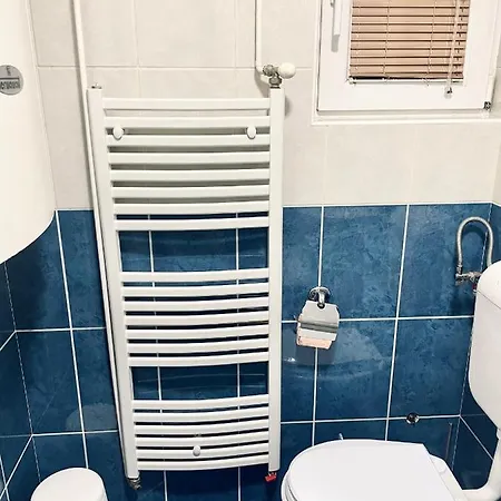 Bloom 贝尔格莱德